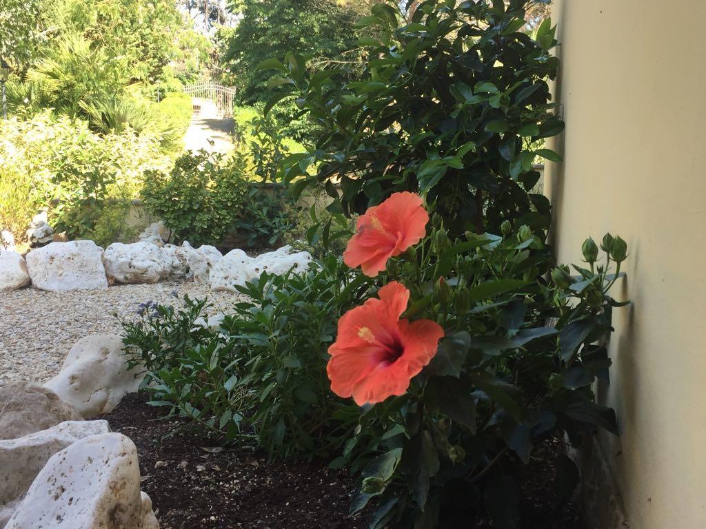 Villa Gusto E Benessere Sacrofano Esterno foto